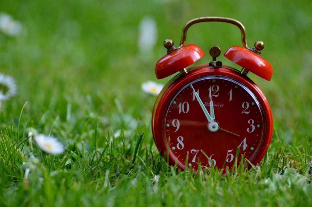 A red alarm clock on grass with flowers