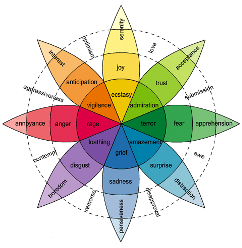 A graphic showing emotions in a wheel with intense emotions (e.g. terror, grief, ecstasy) in the centre, and more subtle emotions (serenity, boredom, distraction) on the outside