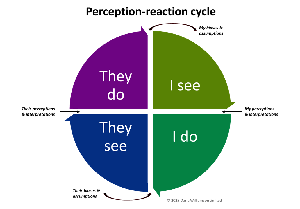 Circle divided into four quadrants showing a cycle: “They do” → “I see” → “I do” → “They see” → back to “They do”. Between “see” and “do” are the labels “Their/my perceptions & interpretations”; between “do” and “see” are “Their/my biases & assumptions”.