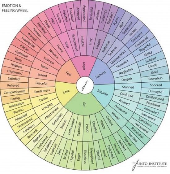 A graphic of emotions as a wheel, with basic emotions (e.g. love, sadness, anger) in the centre, and more complex emotions (agony, blissful, helpless) around the outside