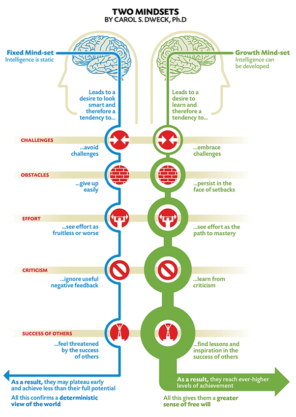 A picture of two brains representing the two mindsets, demonstrating how they differ in their responses to challenges, obstacles, effort, criticism, and success of others, and the implications for performance and development.