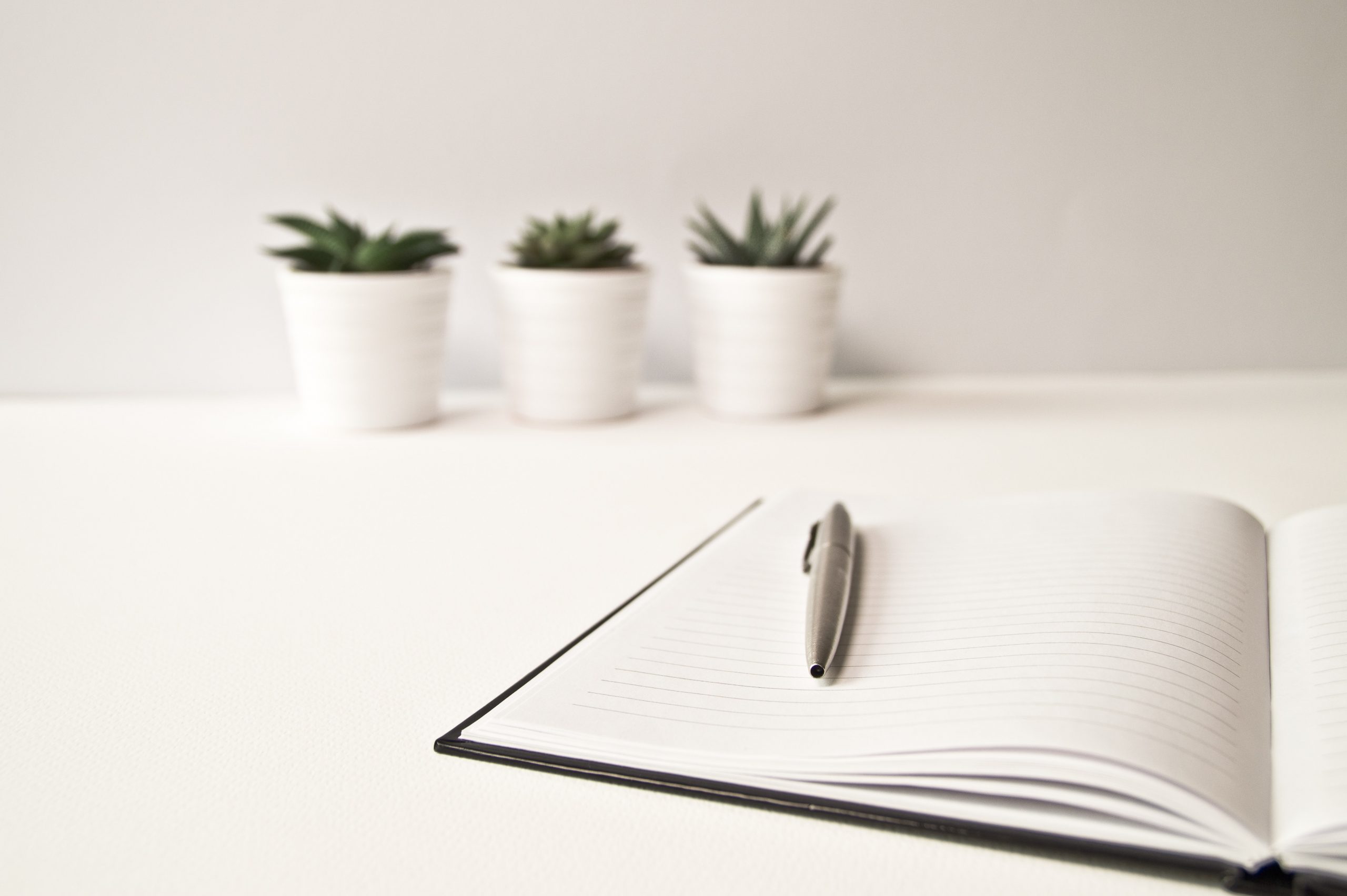 A ballpoint pen resting on an open notebook, with three plants in the background