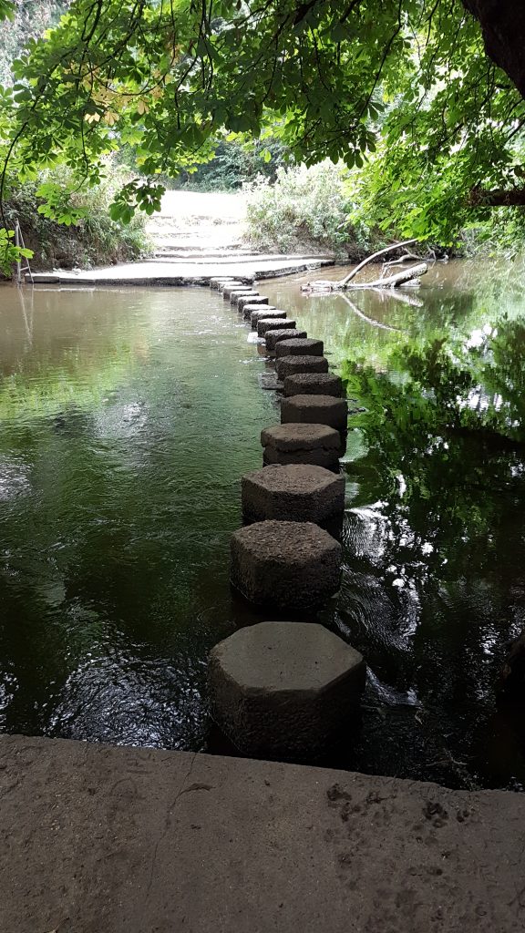 Stepping stones across a slow-flowing river, surrounded by trees