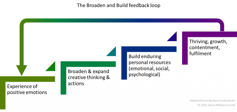 A diagram showing steps up from positive emotions to flourishing, and a feedback arrow back to positive emotions