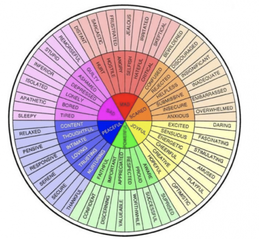 Morrison Clinic emotion wheel